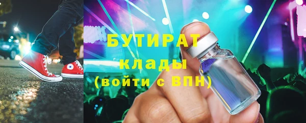 прущие грибы Бородино