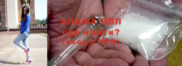 сатива Тайга