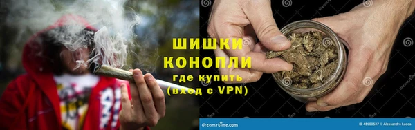 дурь Бронницы