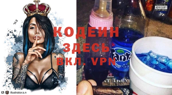 прущие грибы Бородино