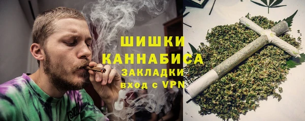 прущие грибы Бородино