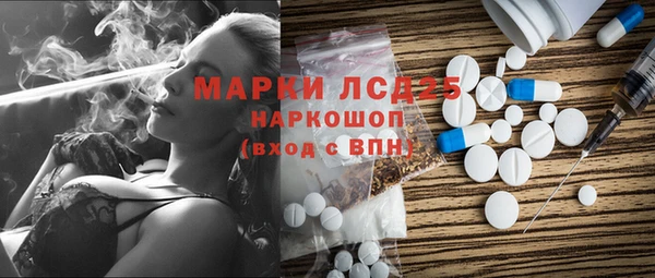 прущие грибы Бородино
