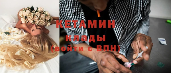 прущие грибы Бородино
