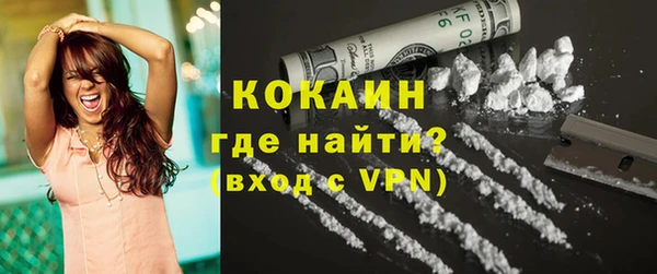 дурь Бронницы