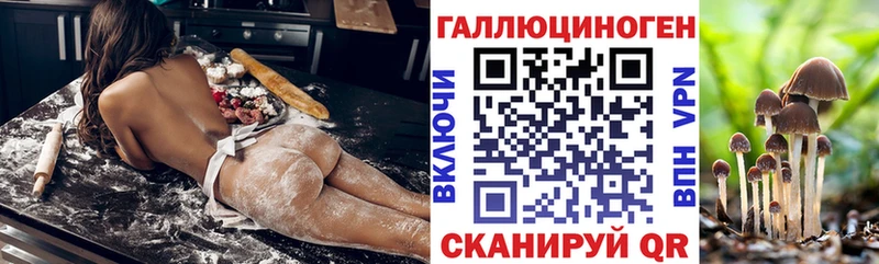 маркетплейс наркотические препараты  Новохопёрск  Галлюциногенные грибы GOLDEN TEACHER 
