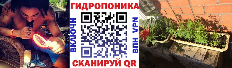 купить наркотики цена  hydra зеркало  Марихуана AK-47  Новохопёрск 
